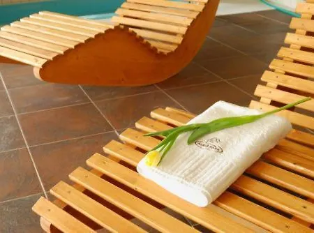 Hotel Wellness & Salas Saris Park 3*