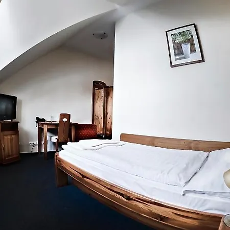 Wellness Pension & Salas Saris Park Hotel