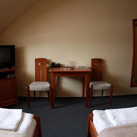 Hotel Wellness Pension & Salas Saris Park 3*