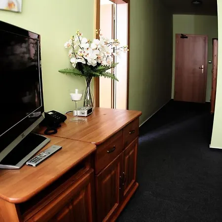 Wellness Pension & Salas Saris Park Hotel 3*