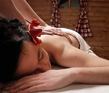 Hotell Wellness & Salas Saris Park