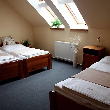 Wellness & Salas Saris Park