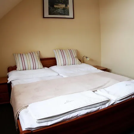 Wellness Pension & Salas Saris Park 3*