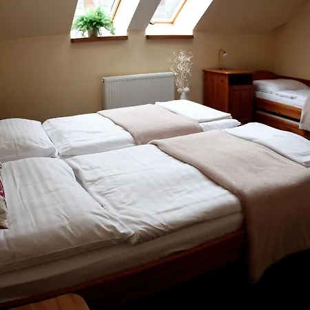 Wellness Pension & Salas Saris Park 3* Presov