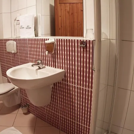 Hotel Wellness Pension & Salas Saris Park